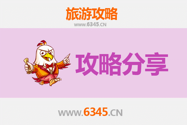 邵阳洞口至湄洲岛旅游攻略：跟团还是自由行深度解析